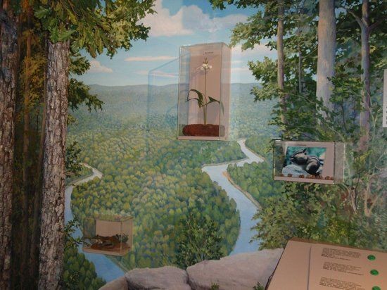 Springfield Conservation Nature Center